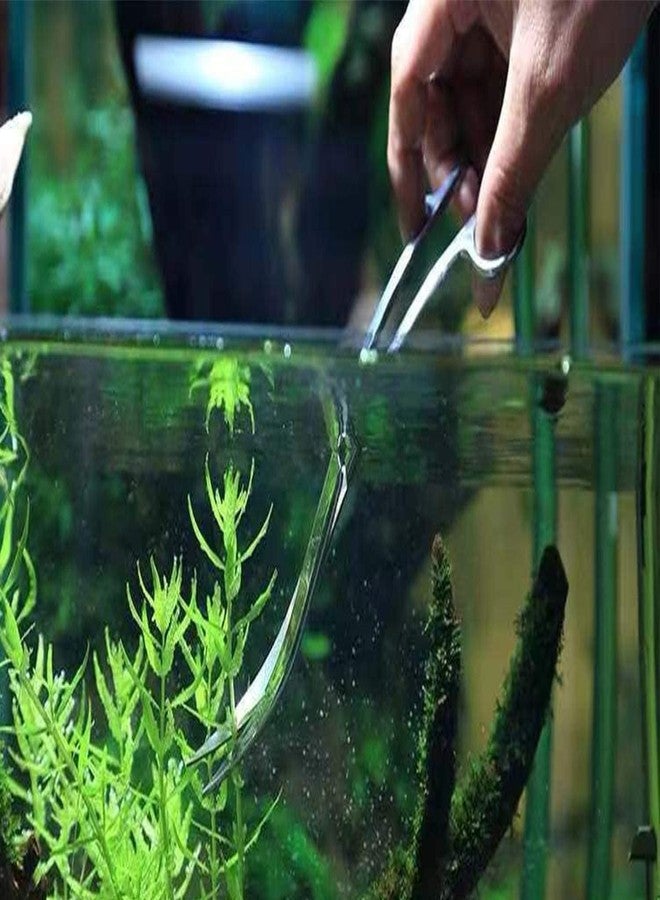 أدوات تزيين أحواض السمك المزروعة من الفولاذ المقاوم للصدأ من VAYINATO®، طول 27 سم (مقص مموج منحني) من Petzlifeworld - Image 5